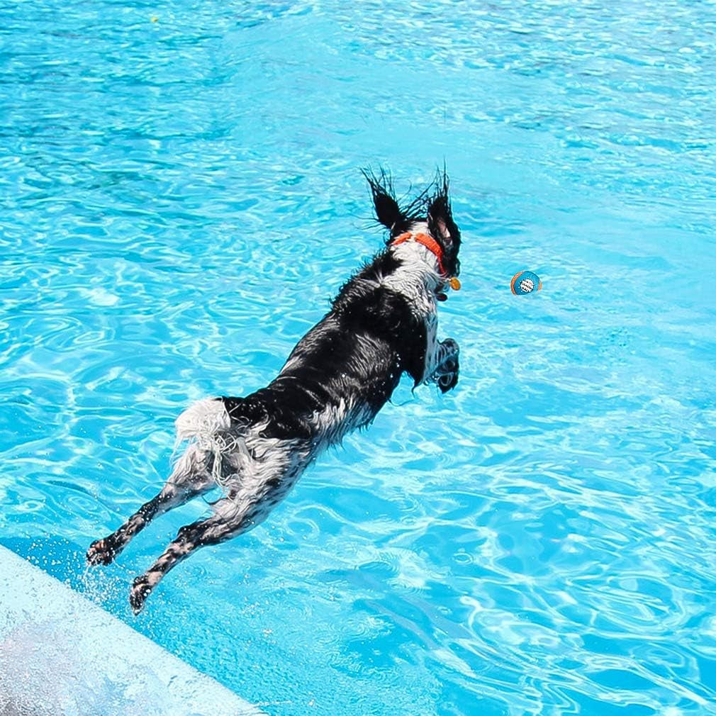 Dog Water Toy Bouncing Balls - Set of 2 Floating Interactive Chew Balls for Outdoor Pool and Lake Activities