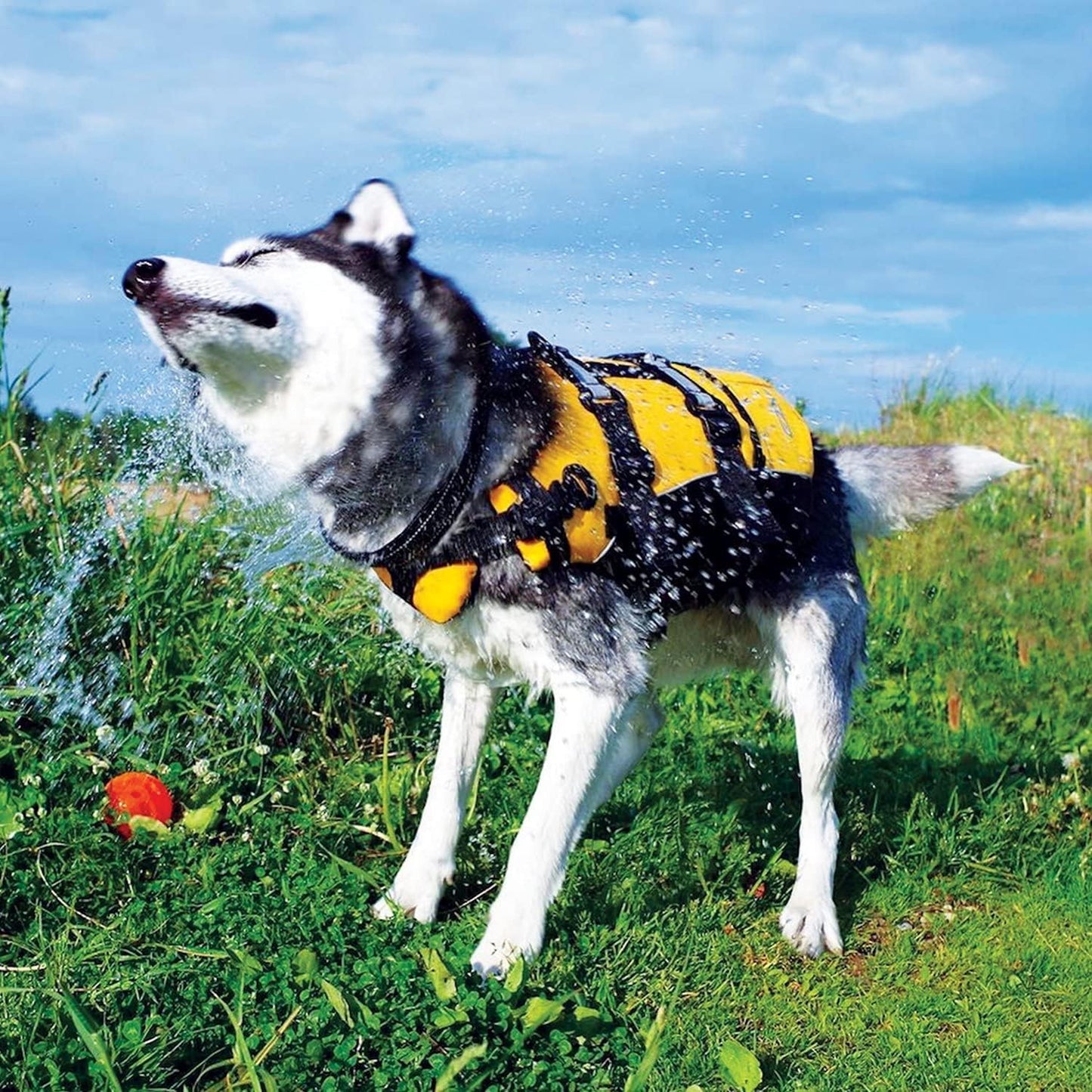 DFD Adjustable Dog Life Jacket - Enhanced Safety Vest with Reflective Trim and Durable Grab Handle - 50% Increased Flotation Material - Small Size, Red