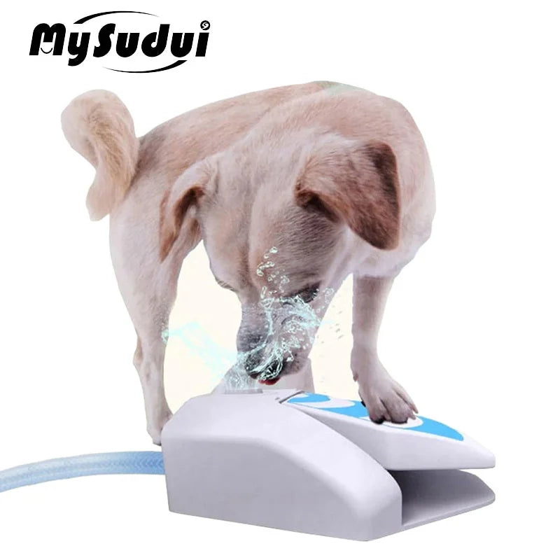 Automatic Outdoor Pet Water Fountain and Interactive Feeding Dispenser for Dogs and Cats