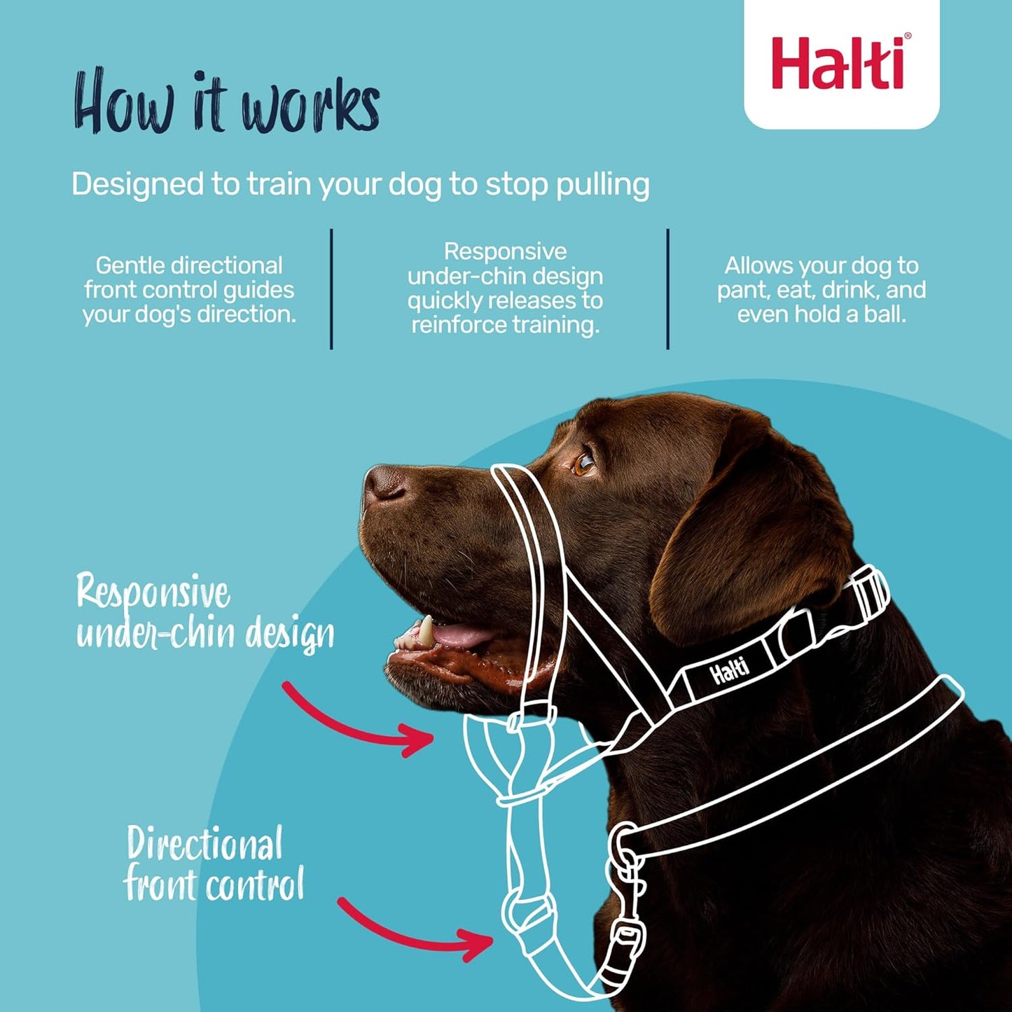Headcollar for Dogs | Size 3, Black | Stop Your Dog Pulling on the Lead | Adjustable, Reflective, Lightweight | Padded Nose Band | Training Collar for Medium Dogs