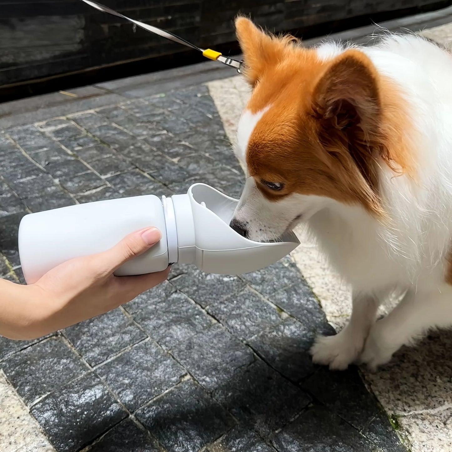 Portable Dog Water Dispenser with Feeding Bowl, Soft Silicone and Foldable Design, Easy to Clean