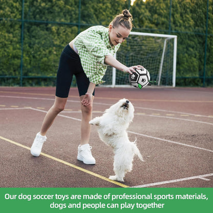 Dog Balls Dog Football Toys Dog Toy Ball (5 Inch Small) | Durable High Bounce Floating Dog Balls, Dog Water Toys, Interactive Dog Ball Indoor Outdoor Play, Ideal Dog Birthday Gifts