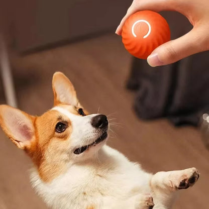 Automatic Interactive Dog Toy Ball - USB Rechargeable Moving and Bouncing Chew Toy for Puppies