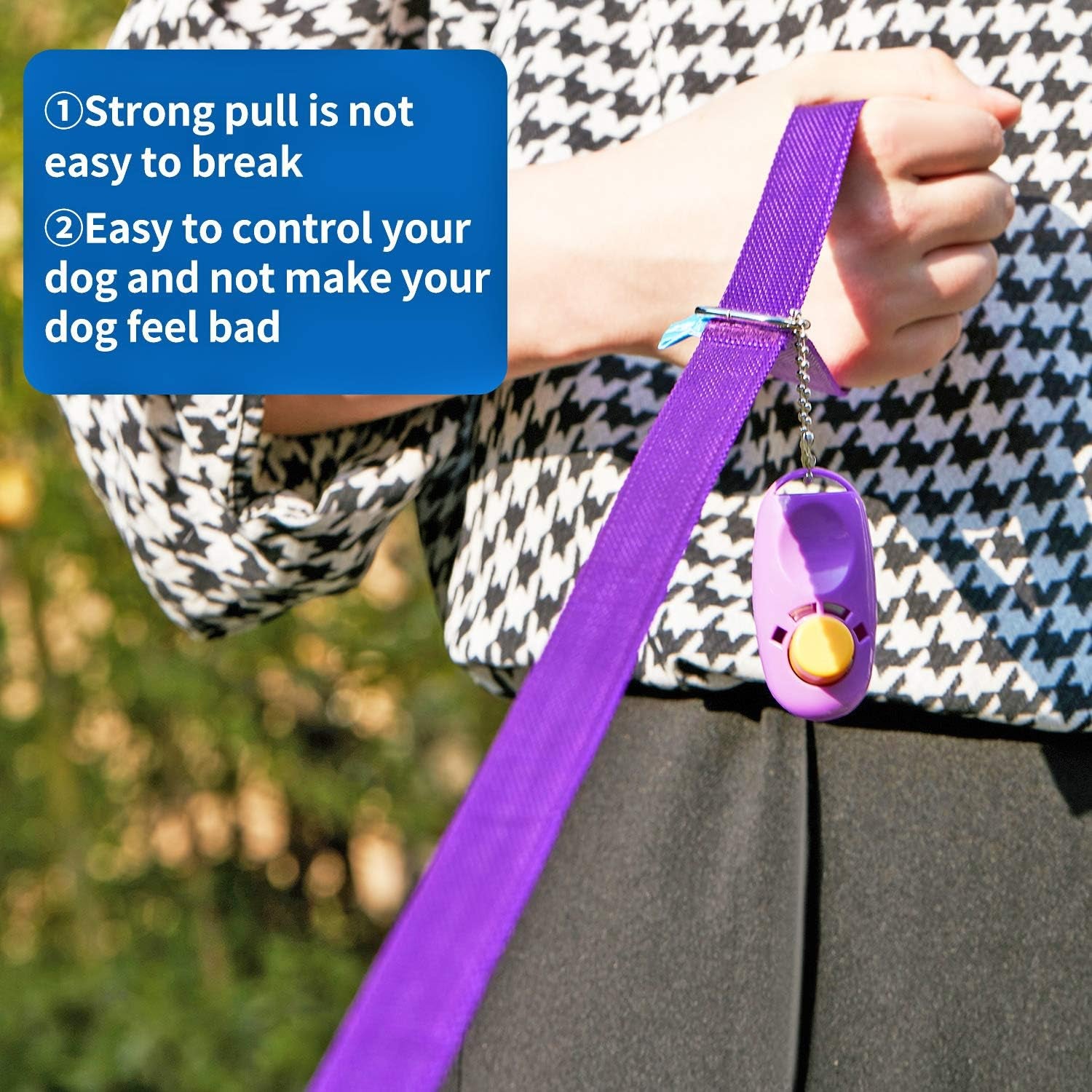 Professional Dog Training Leash with Clickers - Multiple Lengths Available for Dogs and Cats (30 Feet, Purple)