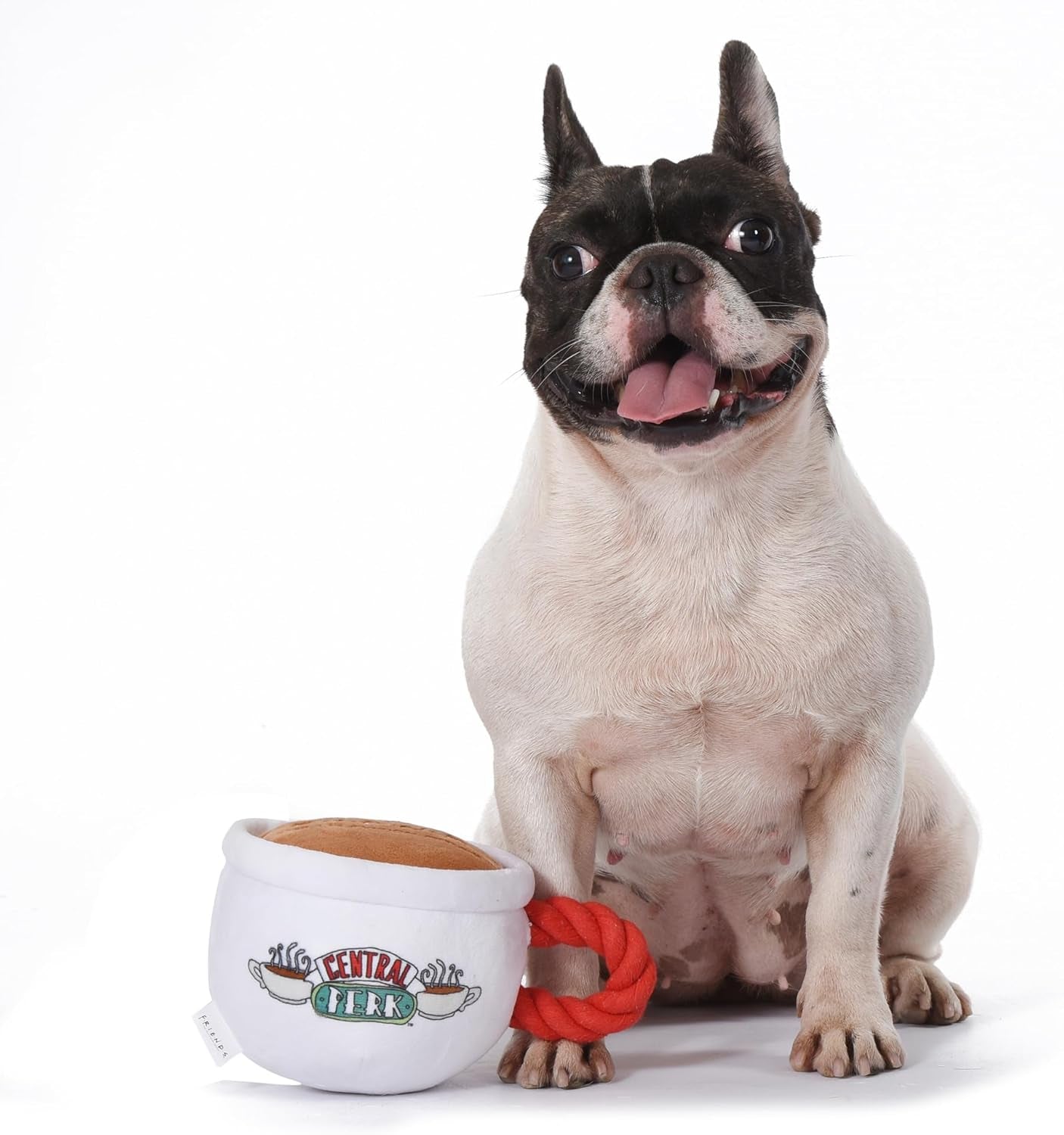 Central Perk Coffee Mug Plush Dog Toy with Rope Handle | Soft Squeaky Toy for Dogs | Stuffed Toy with Squeaker for Enhanced Playtime | Friends Collectible Item