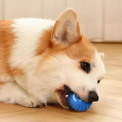Automatic Interactive Dog Toy Ball - USB Rechargeable Moving and Bouncing Chew Toy for Puppies