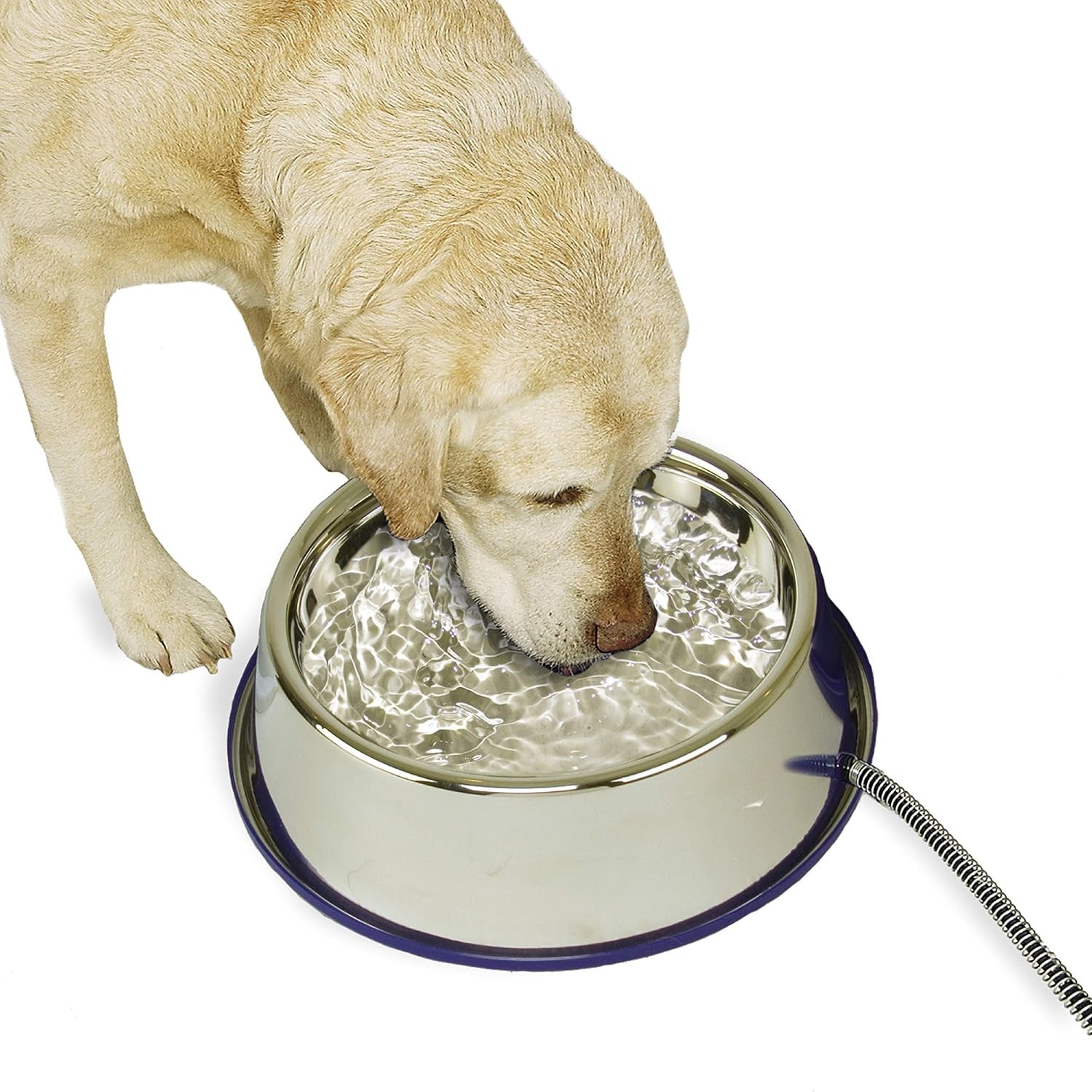 Outdoor Heated Water Bowl for Cats and Dogs - 102 Ounce Capacity, 25W Stainless Steel Construction with Anti-Chew Cord and Automatic No Freeze Function for Winter Use