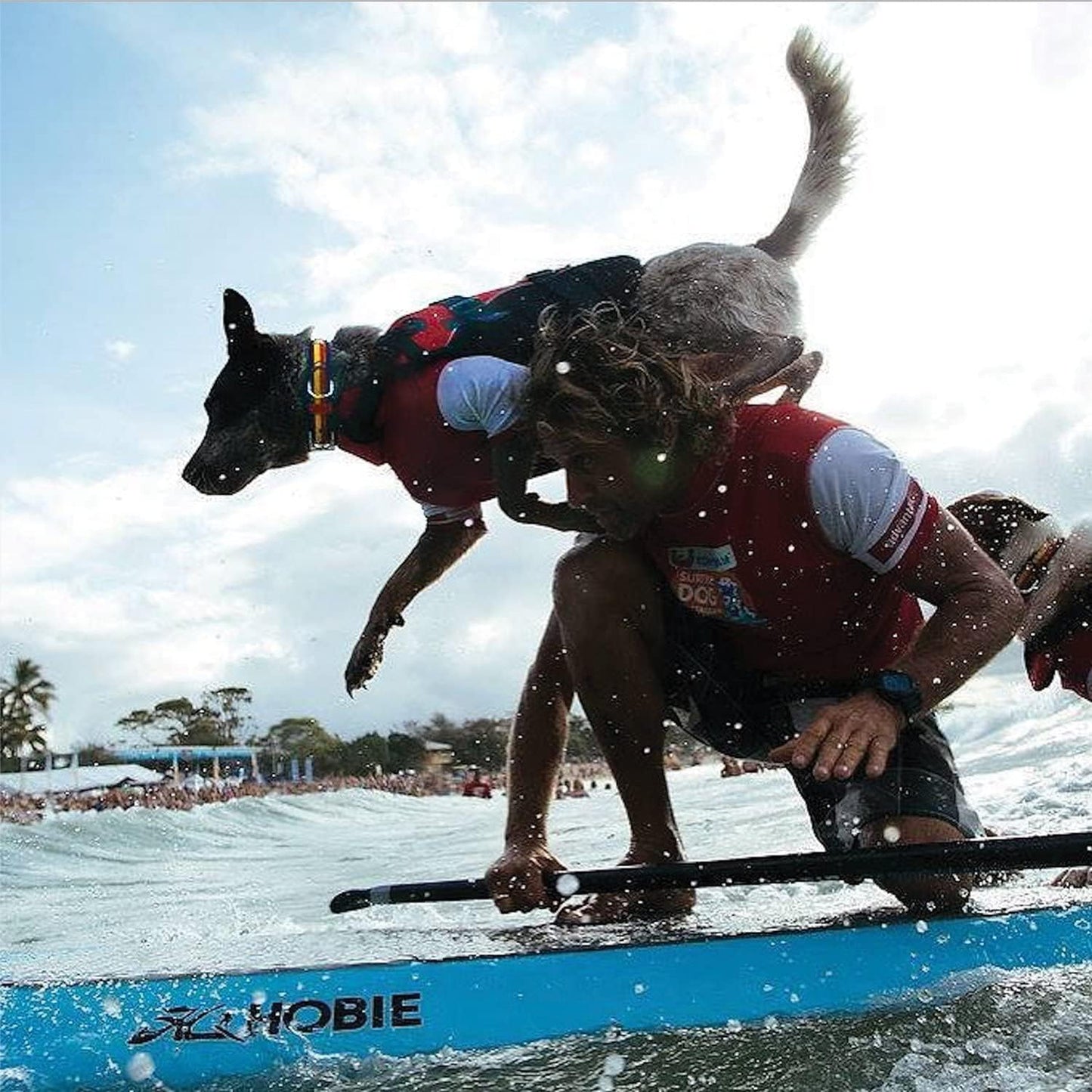 DFD Adjustable Dog Life Jacket - Enhanced Safety Vest with Reflective Trim and Durable Grab Handle - 50% Increased Flotation Material - Small Size, Red