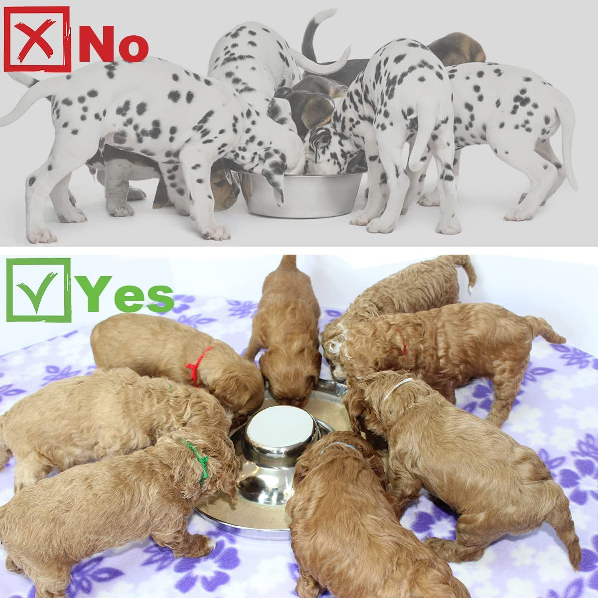 Stainless Steel Dog Bowls for Puppies - 11.8 Inch Feeding and Water Dishes