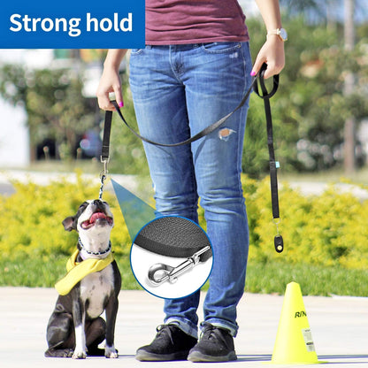 Professional Dog Training Leash with Clickers - Multiple Lengths Available for Dogs and Cats (30 Feet, Purple)