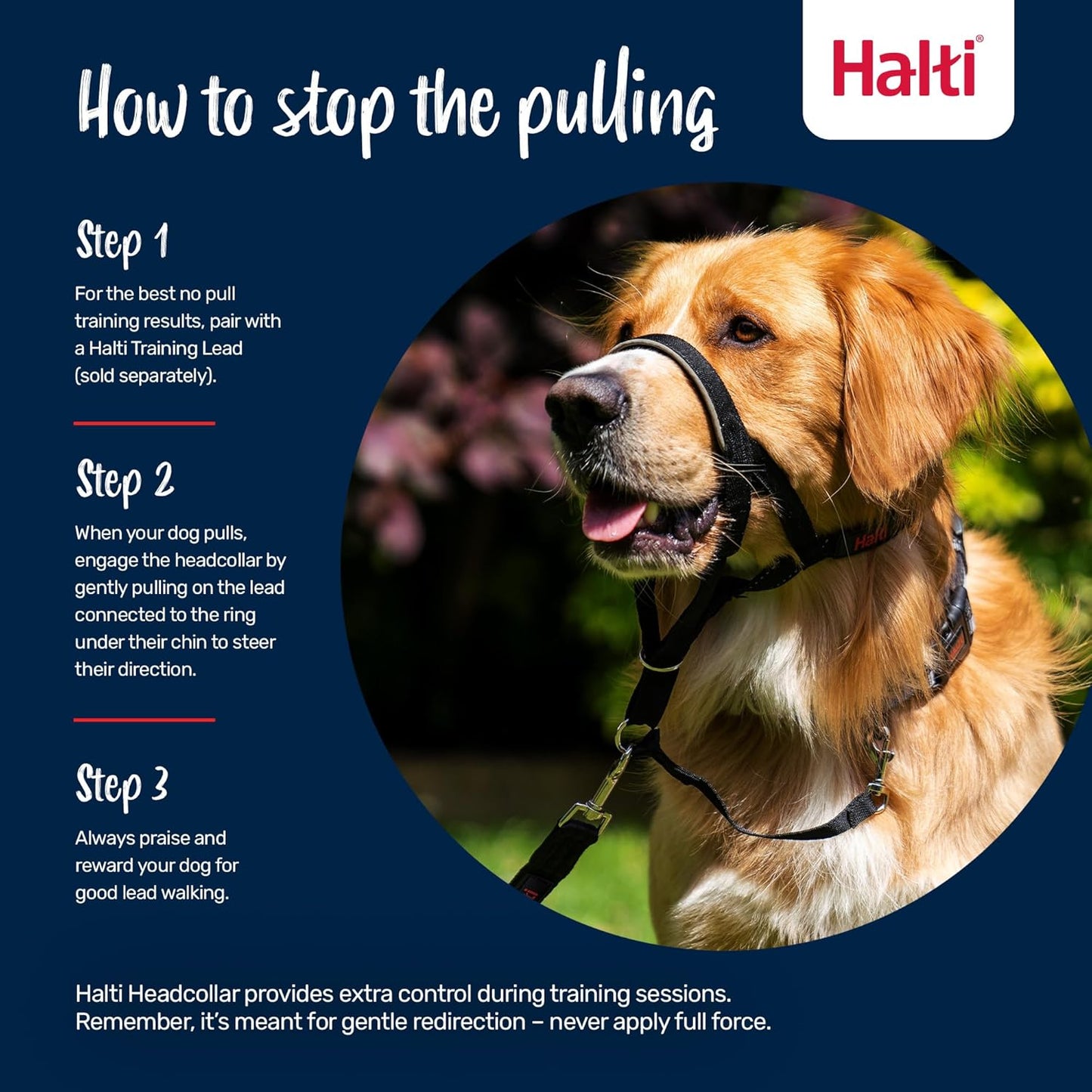 Headcollar for Dogs | Size 3, Black | Stop Your Dog Pulling on the Lead | Adjustable, Reflective, Lightweight | Padded Nose Band | Training Collar for Medium Dogs