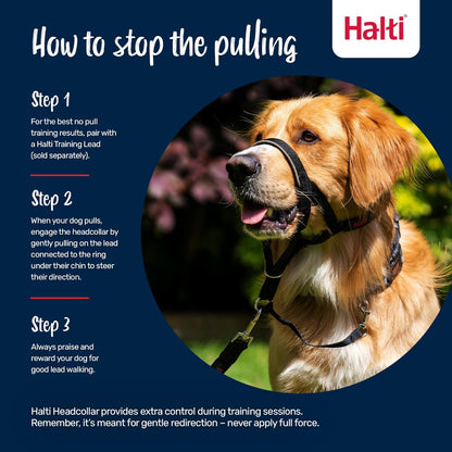 Headcollar for Dogs | Size 3, Black | Stop Your Dog Pulling on the Lead | Adjustable, Reflective, Lightweight | Padded Nose Band | Training Collar for Medium Dogs