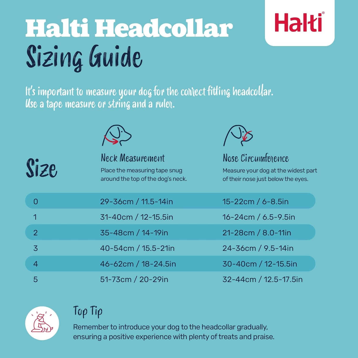 Headcollar for Dogs | Size 3, Black | Stop Your Dog Pulling on the Lead | Adjustable, Reflective, Lightweight | Padded Nose Band | Training Collar for Medium Dogs