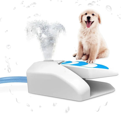 Automatic Outdoor Pet Water Fountain and Interactive Feeding Dispenser for Dogs and Cats