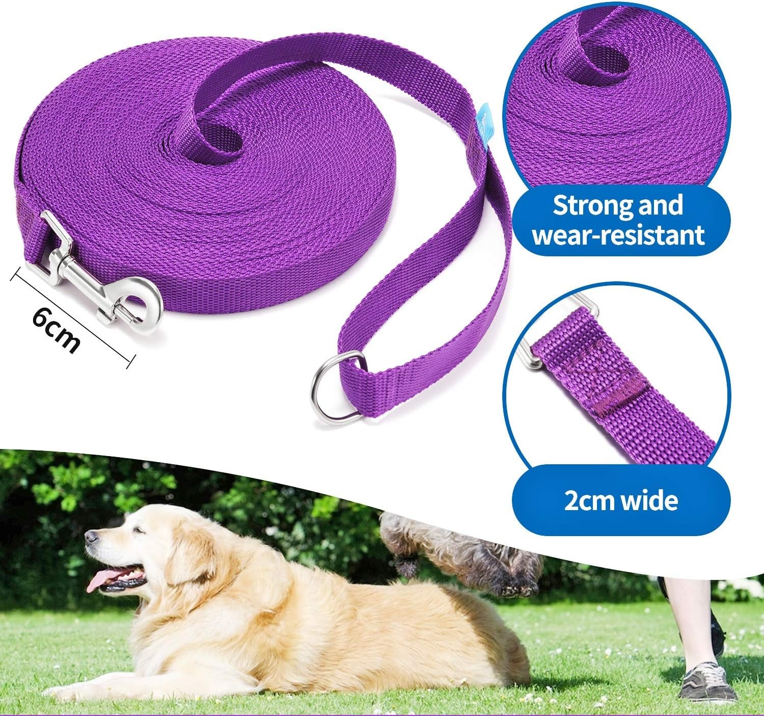 Professional Dog Training Leash with Clickers - Multiple Lengths Available for Dogs and Cats (30 Feet, Purple)