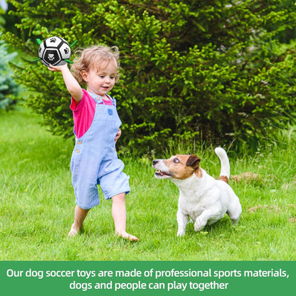 Dog Balls Dog Football Toys Dog Toy Ball (5 Inch Small) | Durable High Bounce Floating Dog Balls, Dog Water Toys, Interactive Dog Ball Indoor Outdoor Play, Ideal Dog Birthday Gifts