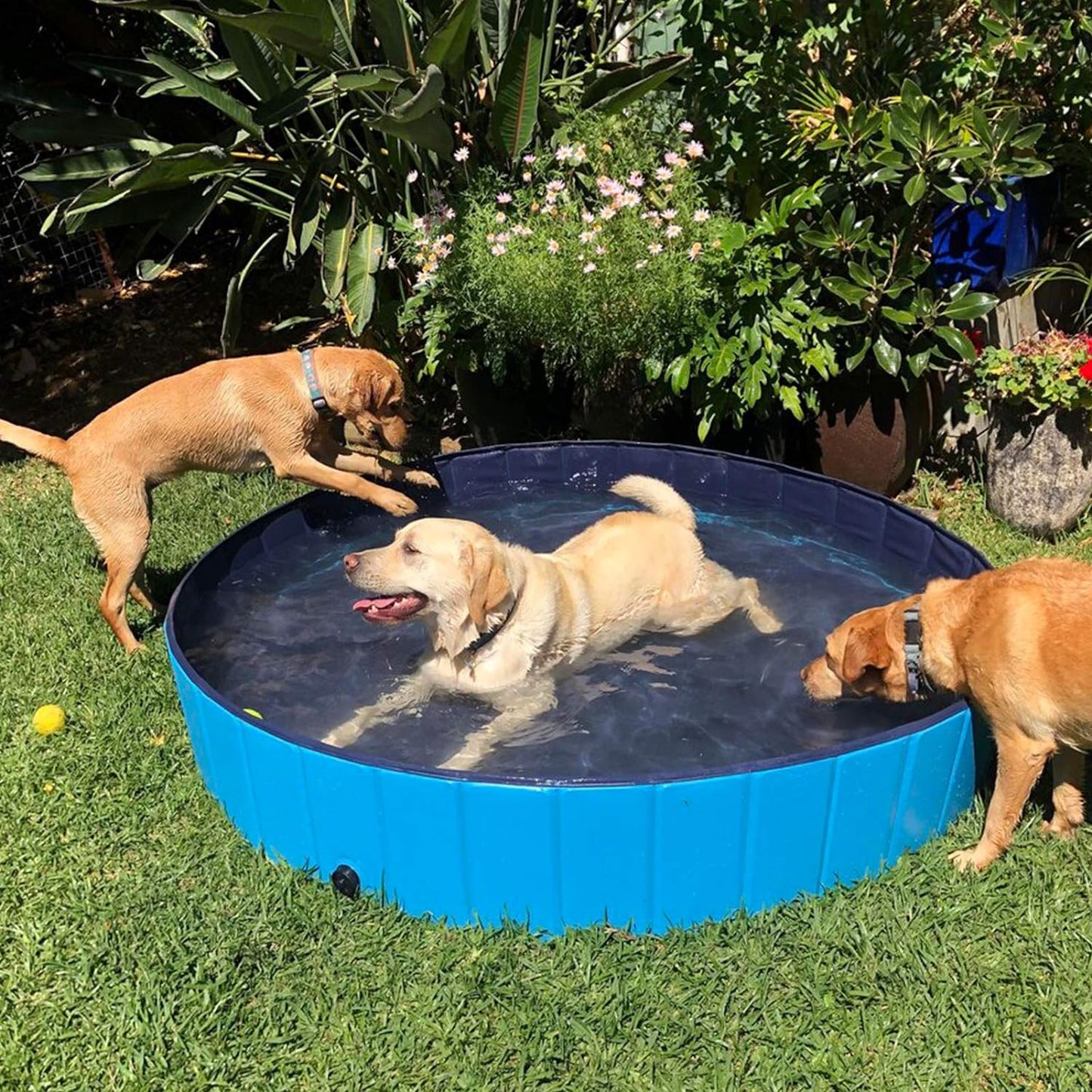 Foldable Outdoor Dog Pool - Collapsible Anti-Slip PVC Paddling Bathtub for Large and Extra Large Dogs (63" x 12")