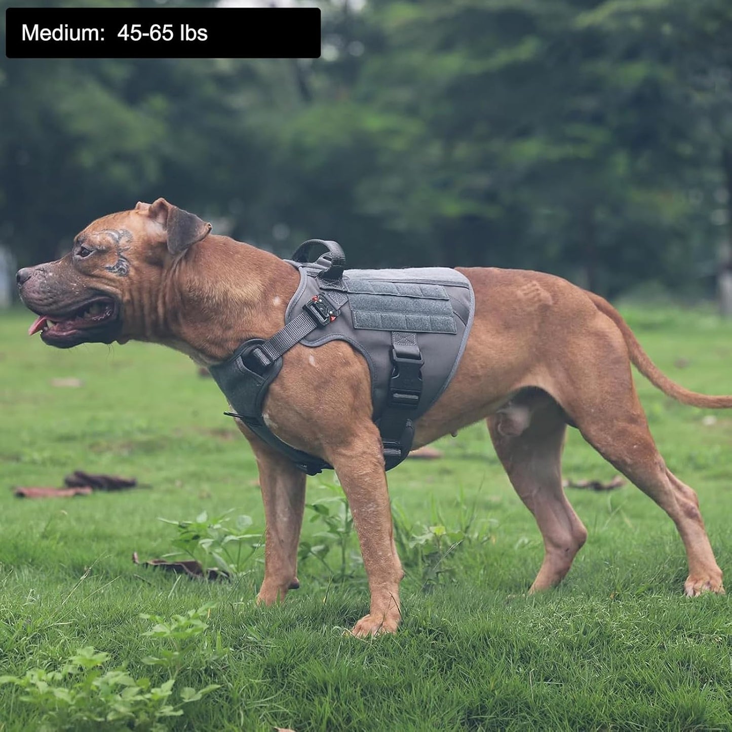 Tactical Dog Harness for Medium Dogs,Reflective No Pull Dog Vest | with Control Handle,Adjustable,Front Hook,2 Leash Clips,Soft Padded,Molle Panel,Grey,Medium