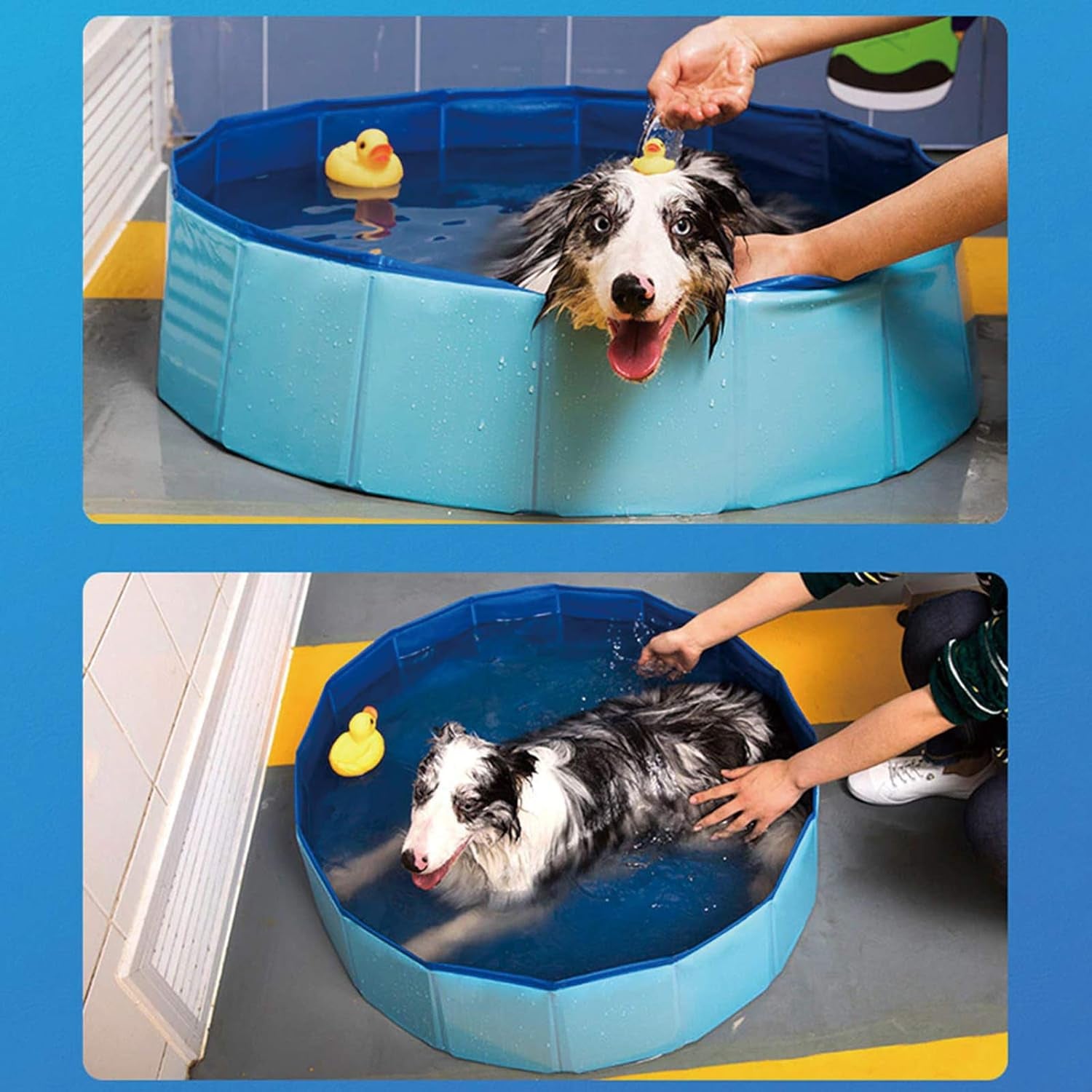 Foldable Outdoor Dog Pool - Collapsible Anti-Slip PVC Paddling Bathtub for Large and Extra Large Dogs (63" x 12")