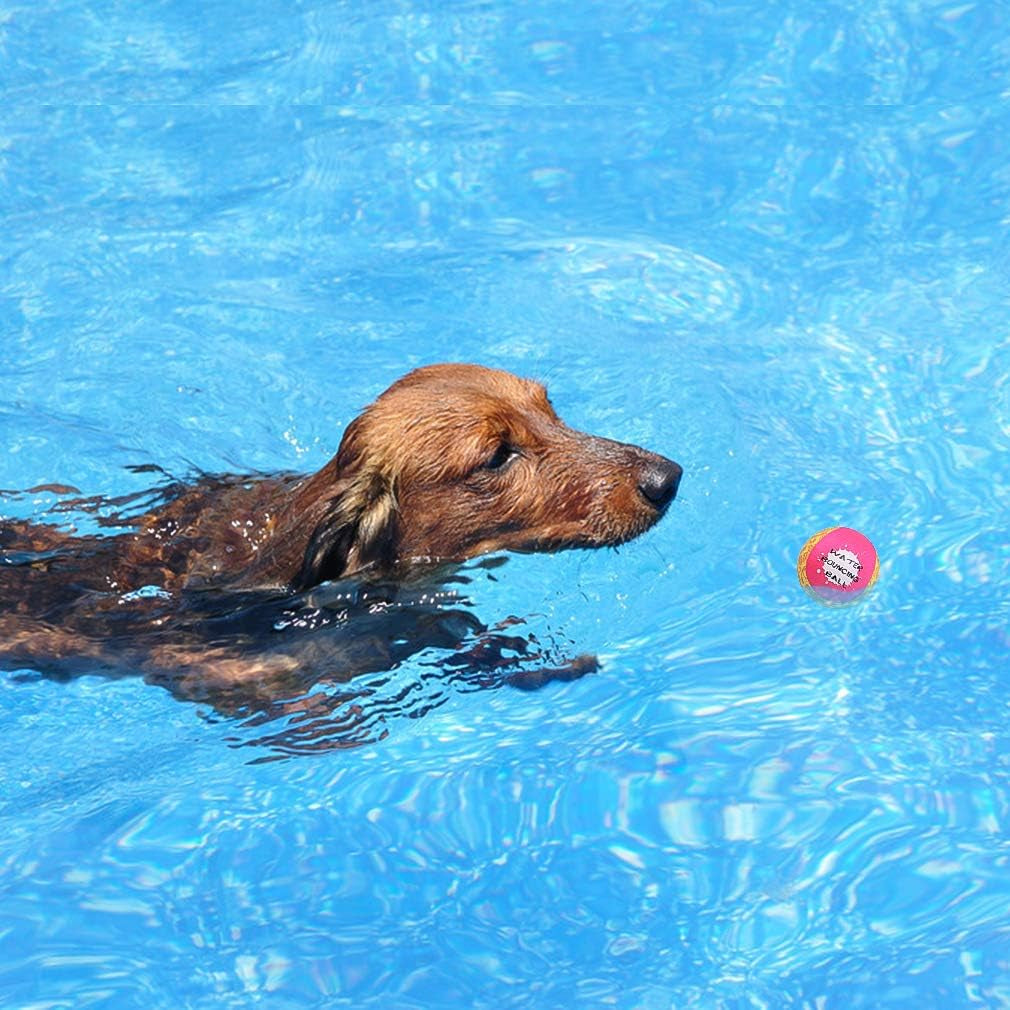 Dog Water Toy Bouncing Balls - Set of 2 Floating Interactive Chew Balls for Outdoor Pool and Lake Activities