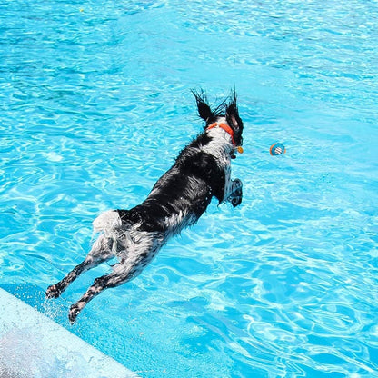 Dog Water Toy Bouncing Balls - Set of 2 Floating Interactive Chew Balls for Outdoor Pool and Lake Activities