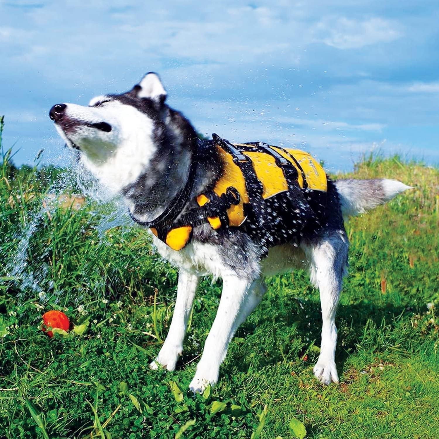DFD Adjustable Dog Life Jacket - Enhanced Safety Vest with Reflective Trim and Durable Grab Handle - 50% Increased Flotation Material - Small Size, Red